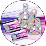 Pack Séance de Design Humain + 2 manuels personnalisés