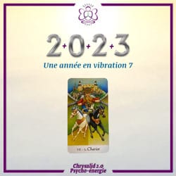 2023, une année en vibration 7 (miniature)