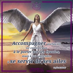apprendre à se servir de ses ailes