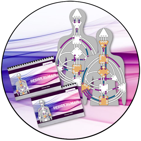 Deux BodyGraphs et deux manuels personnalisés illustrant le Pack Séance de Design Humain + 2 manuels personnalisés