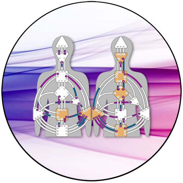 Deux BodyGraphs illustrant un accompagnement en Design Humain pour couple ou duo