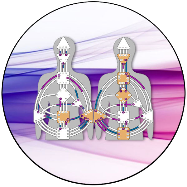 Deux BodyGraphs illustrant un accompagnement en Design Humain pour couple ou duo