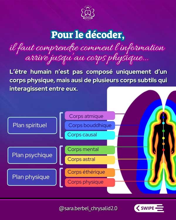 Schéma des sept corps subtils dans une approche énergétique : corps physique, éthérique, astral, mental, causal, bouddhique et atmique.