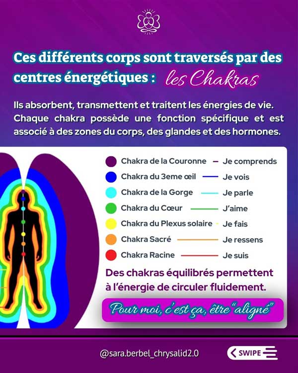 Illustration des sept chakras et de leurs associations symboliques avec différentes fonctions et zones du corps.