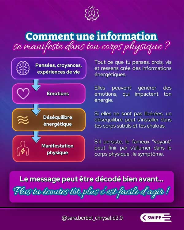 Schéma de l'approche psycho-énergétique reliant pensées, croyances, émotions, déséquilibres énergétiques et manifestations physiques. Une aide pour décoder les messages du corps bien avant l'apparition des symptômes