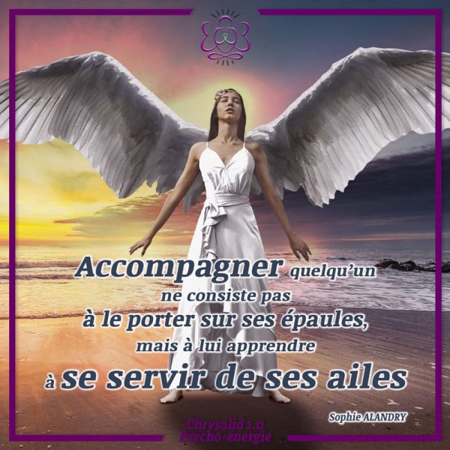 apprendre à se servir de ses ailes